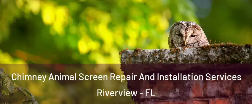  Chimney Animal Screen Repair And Installation Services Riverview - FL