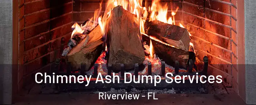  Chimney Ash Dump Services Riverview - FL