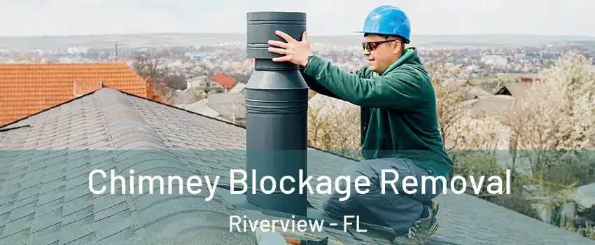  Chimney Blockage Removal Riverview - FL