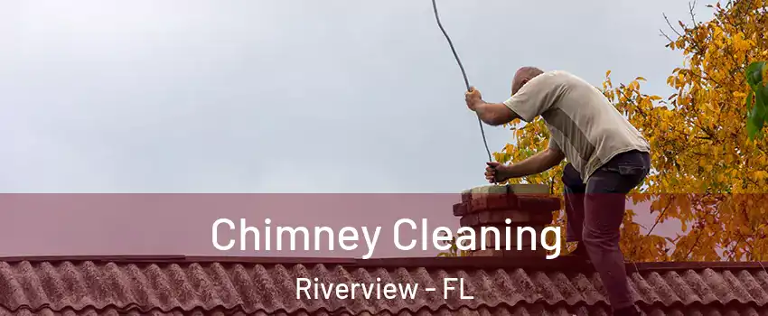  Chimney Cleaning Riverview - FL