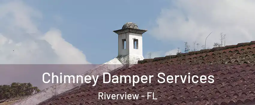  Chimney Damper Services Riverview - FL