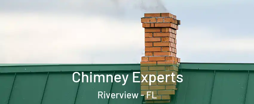  Chimney Experts Riverview - FL