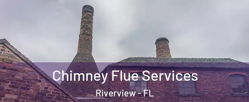  Chimney Flue Services Riverview - FL