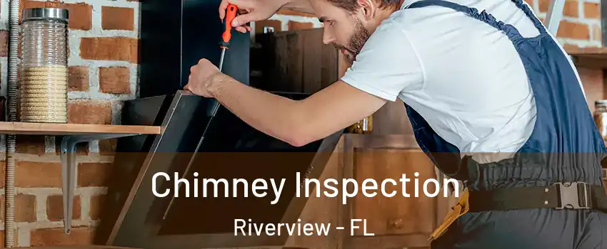  Chimney Inspection Riverview - FL
