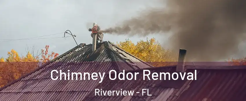  Chimney Odor Removal Riverview - FL