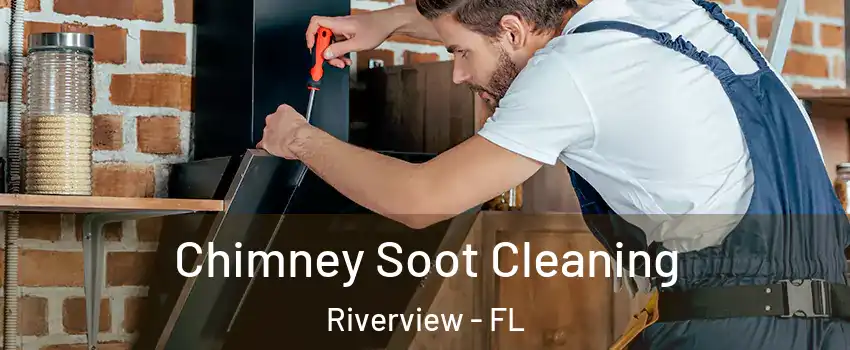  Chimney Soot Cleaning Riverview - FL