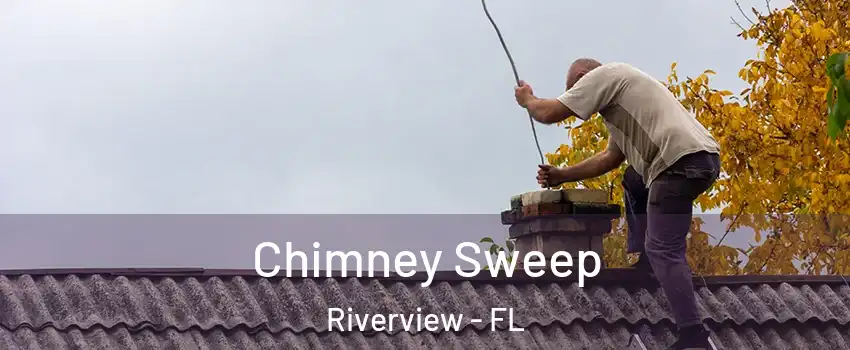  Chimney Sweep Riverview - FL