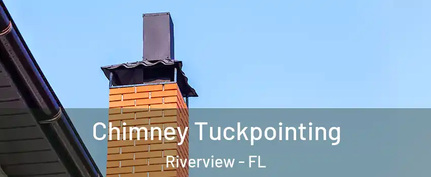  Chimney Tuckpointing Riverview - FL