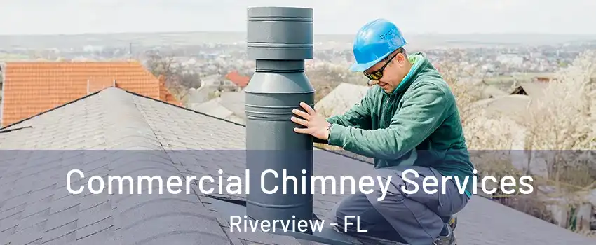  Commercial Chimney Services Riverview - FL
