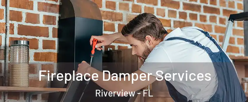  Fireplace Damper Services Riverview - FL