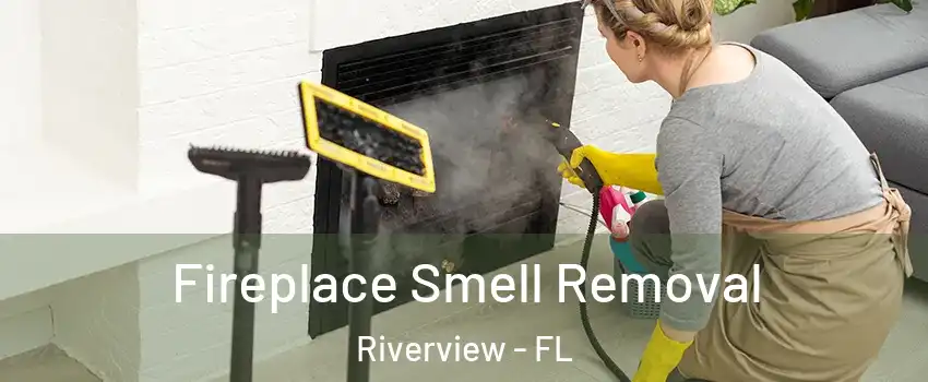  Fireplace Smell Removal Riverview - FL