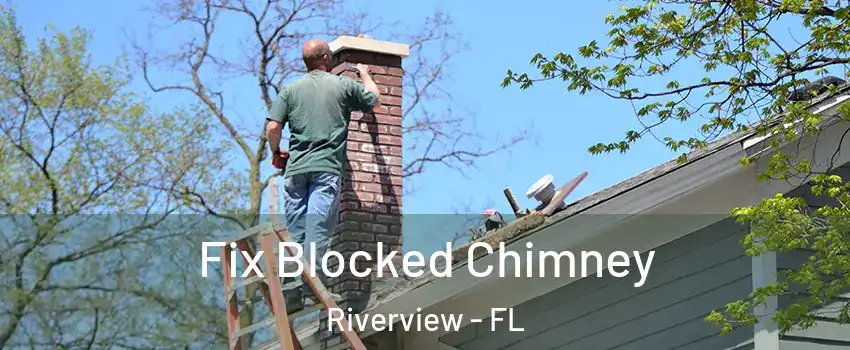  Fix Blocked Chimney Riverview - FL
