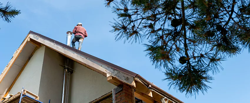 Birds Removal Contractors from Chimney in Riverview, FL