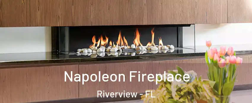  Napoleon Fireplace Riverview - FL