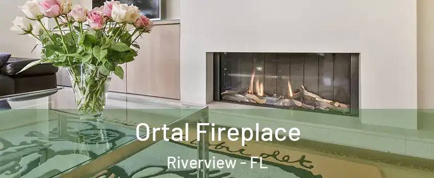  Ortal Fireplace Riverview - FL